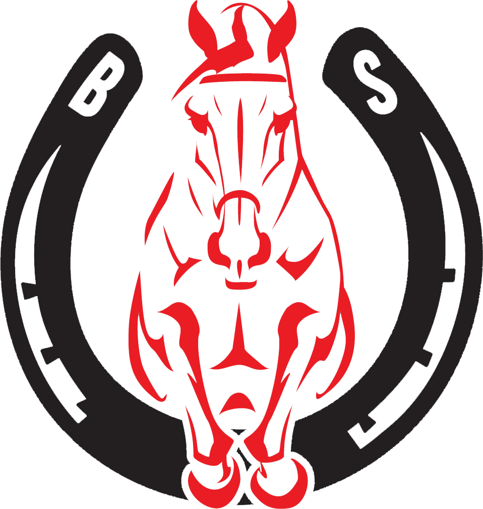 BS Logo